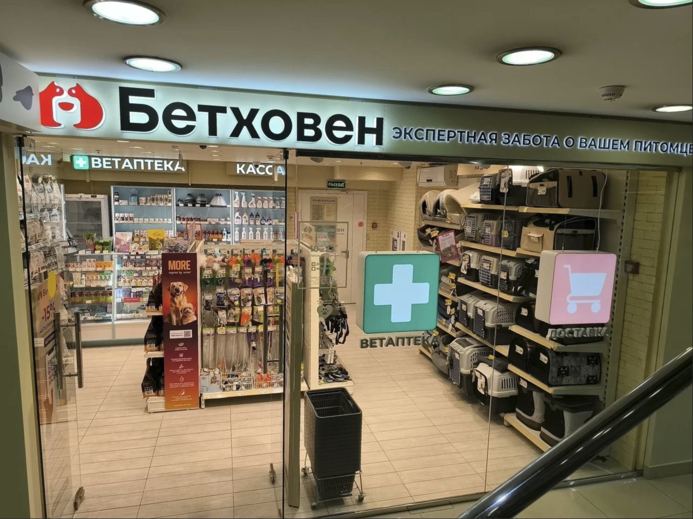 bethoven